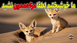 حیات وحش ایران- ۱۰ حیوان شگفت‌انگیز کویری ایران که در خطر انقراضن