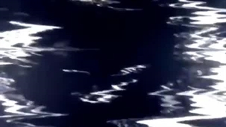 میکسی از تانجیرو