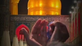 استوری_در شهر، شهرتم شده دیوانه ی رضا (ع)