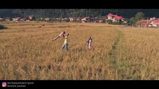 موزیک مرتضی پاشایی اشکام جاریه