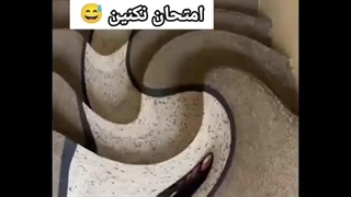 بلاهایی که سر خودم میارم وقتی حوصلم سررفته