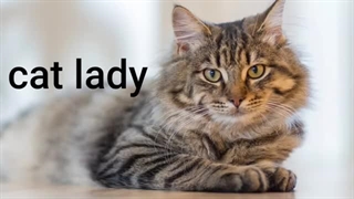 راز یک کپشن که همه رو عاشق گربه‌ات می‌کنه! 