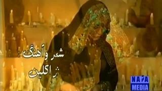 ویدیو موزیک امام رضا با صدای شهره صولتی