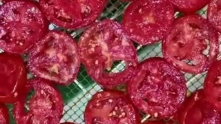 راه اندازی کسب و کار تضمینی تولید میوه خشک با تجهیزات خشک کن