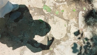 بچه ها سلام خوبید چه خبر  کپ