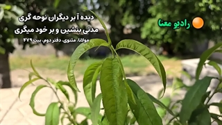 برای هیچکس دلسوزی نکن | قوی ترین راز خودشناسی مولانا