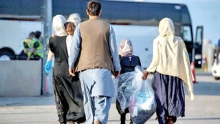 خروج بیش از یک‌ میلیون و ۸۰۰ هزار تبعه غیرمجاز از کشور