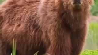 دانستنیهای جالب