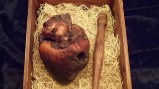 مخم ارور داد