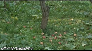 علوم دوم ابتدایی ، درس اول