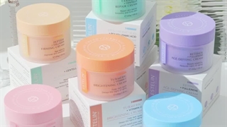 کرم های استلین