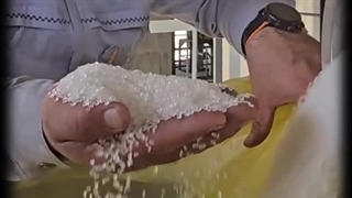 تولید گرانول پلی‌پروپیلن در پتروشیمی ارغوان‌گستر آغاز شد