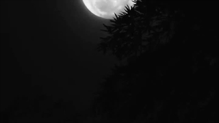 فصل دوم رمان THE EDICTION (اعتیاد) پارت یازدهم