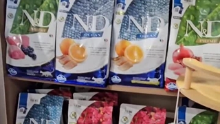 Pate cat food UAE