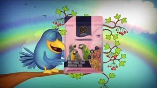 Cat Scratching Pads dubai