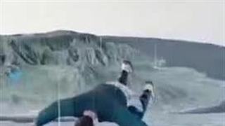 محتوای برگ ریزون چطور پس از سقوط زنده بمانیم