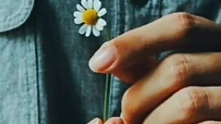 مرگ شعری از محمد خوش بین