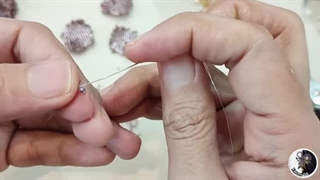 شکوفه گل رز