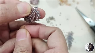 شکوفه گل رز