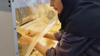 آموزشگاه و فروشگاه طلا و جواهر افشاریه شیراز