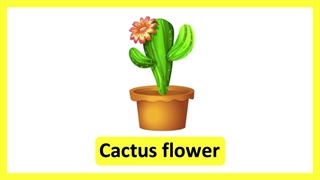 انواع گل به انگلیسی