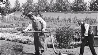 فیلم کوتاه آبیار آبیاری می‌شود