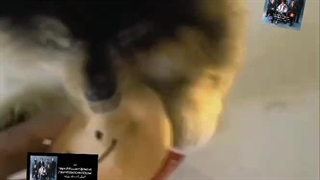 ستاره کوچولو تولدت مبارک:)اولین تولد تان که خودش پیش ما نیست:/تهیونگ خیالت جمع.ما اونو فراموش نمیکنیم