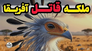 مرغ منشی یا مرغ دبیر: همه چیز درباره ی ملکه قاتل!