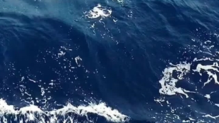 عاشق رنگ آبی‌امممم عاشق سرمام>>>>