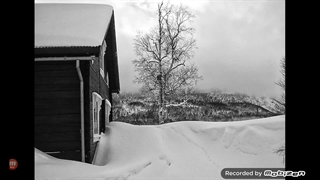 2008年 12月 04日 광고