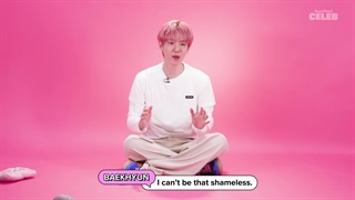 ویدئو مصاحبه با پاپی‌های بکهیون با زیرنویس فارسی