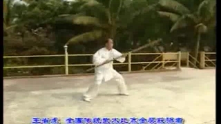 فرم سنتی گوئن شو به سبک مانتیس