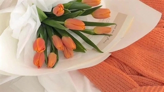 این ویدیو وایب روبی جین رو به من میده (قلب)