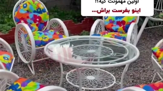 صندلی گلبرگ