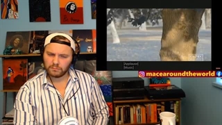 واکنش ابی (Ebi) درخت Reaction