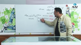 کدون پایان ترجمه