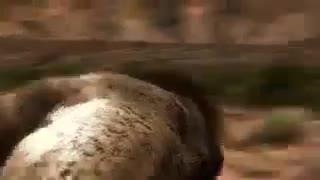 برترین مبارزین ماقبل تاریخ