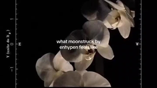 آهنگ مورد علاقم3>