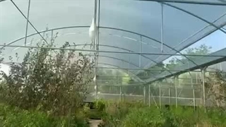 تور سایبان ضمانت نامه تورینه بافت 09119093923