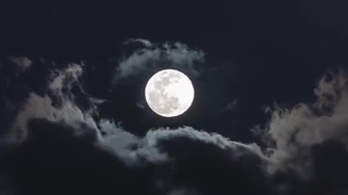 فصل دوم رمان THE EDICTION (اعتیاد) پارت هجدهم