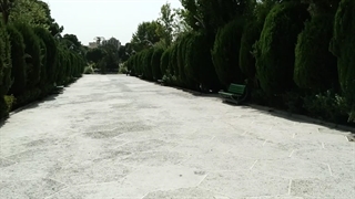 پارک ساعی تهران