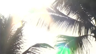 ویدئو نحوه اجرای کفپوش دیپسی (رزین باند)