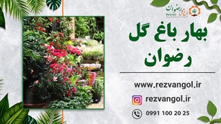 بهار باغ گل رضوان