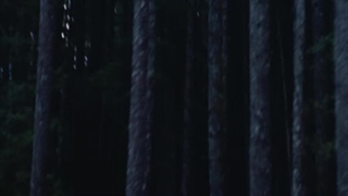 ماشین ارواح