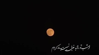 تو خوب تر ز ماهی،من اشتباه کردم