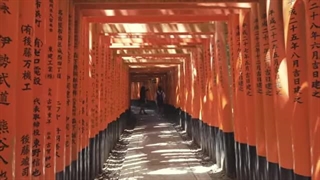 آینده تورهای ژاپن