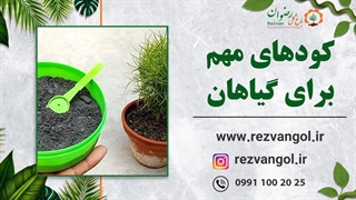 کودهای مهم برای گیاهان