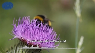 حقّ‌النّاس در قیامت(آیت الله العظمی مظاهری)