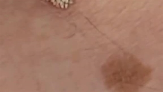 فیلم فریز زگیل