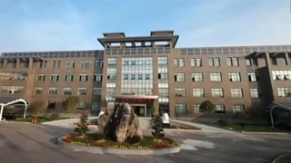 معرفی برند RISEN